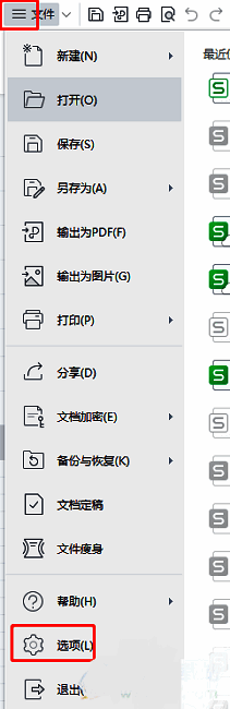WPS软件界面，左上角显示文件菜单与选项按钮