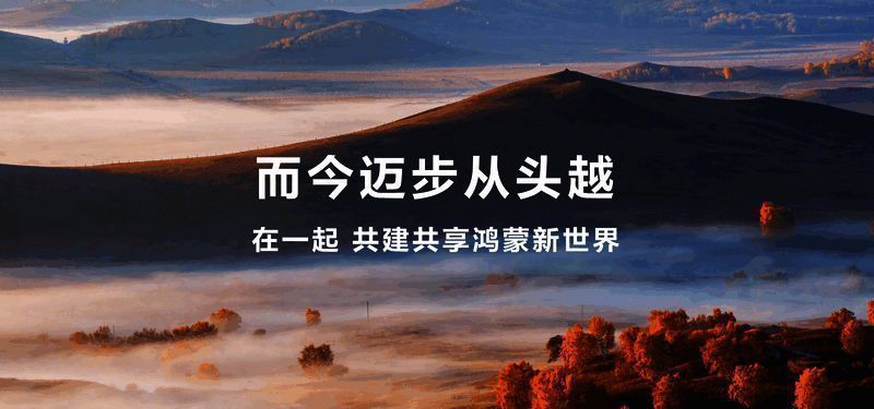 全球移动操作系统市场份额对比图，展示鸿蒙占据一席之地