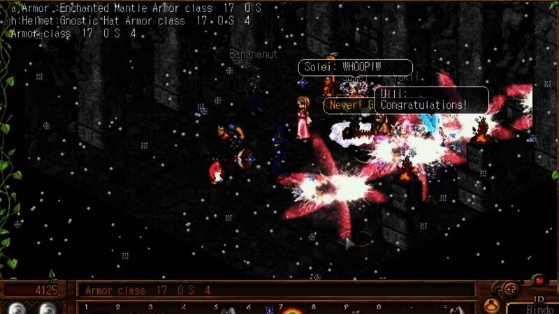 《Dark Ages》多人在线战斗画面，界面复古，玩家角色整齐列队