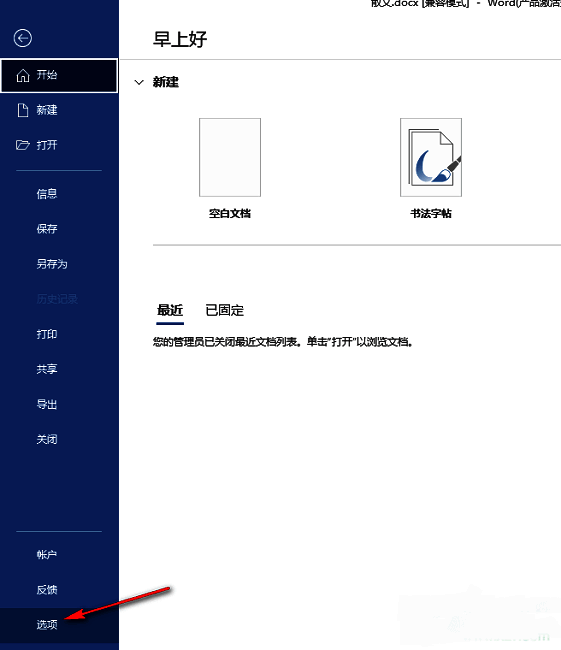 Word选项设置界面截图，展示左侧菜单栏