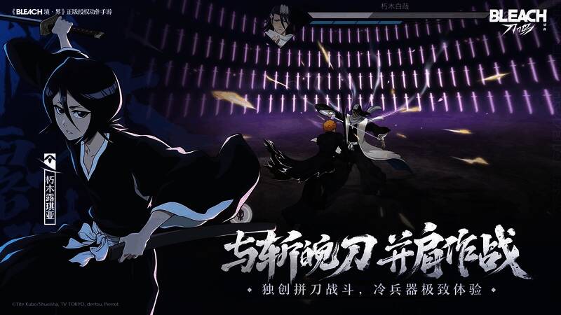 游戏宣传图，展示主角与斩魄刀并肩而立的剪影画面