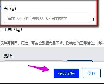 提交审核页面按钮展示，界面中央为提交按钮，提示审核流程说明
