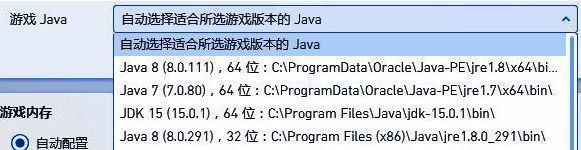 Java版本选择界面展示多个可选Java版本列表