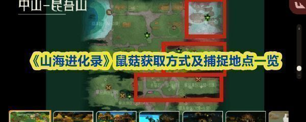 《山海进化录》鼠菇灵兽形象展示，昆吾山草丛中的可爱鼠菇