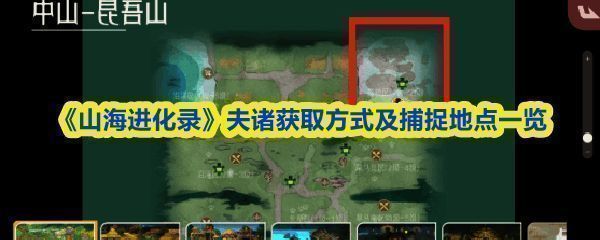 夫诸进化形态展示图，展示四个阶段的进化过程