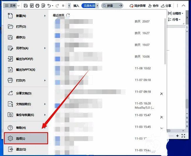 选项按钮位于文件菜单底部，界面显示多个功能模块