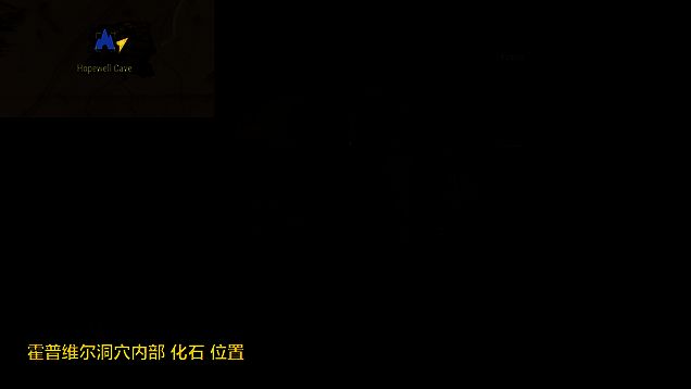 霍普维尔洞穴内部发现的化石，环境昏暗但位置明确