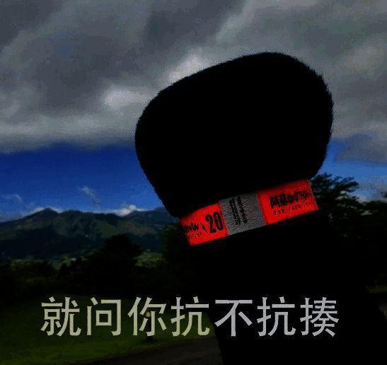 战斗场景截图，展示逆境卫士技能触发时的战场补位效果