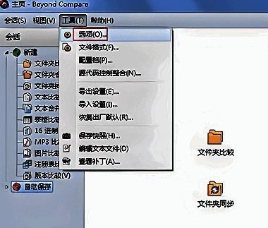 打开Beyond Compare软件并进入选项设置界面