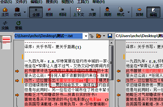 替换完成后文档展示界面，显示替换后的文本效果