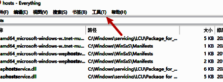 Everything软件界面顶部工具菜单选项示意图