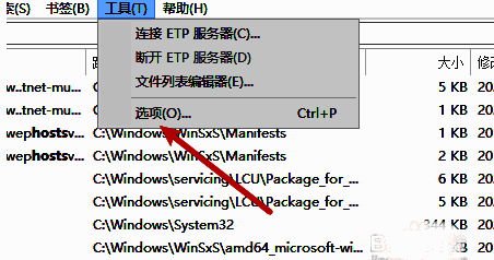 选项按钮位置示意图，位于工具菜单下方列表中