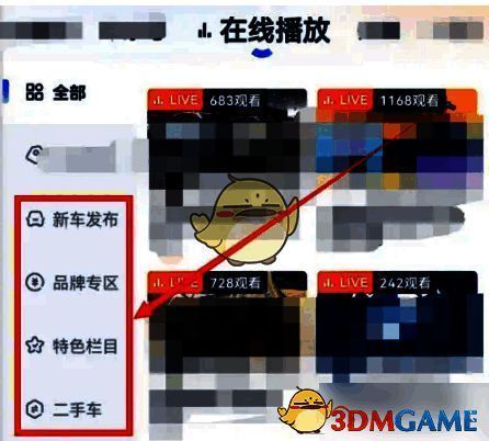 直播观看界面示意图，展示播放画面与互动功能