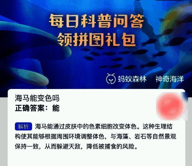 海马变色示意图，展示不同颜色变化的海马种类