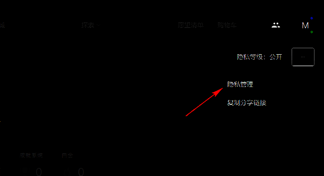 隐私管理页面，包含多项隐私设置选项