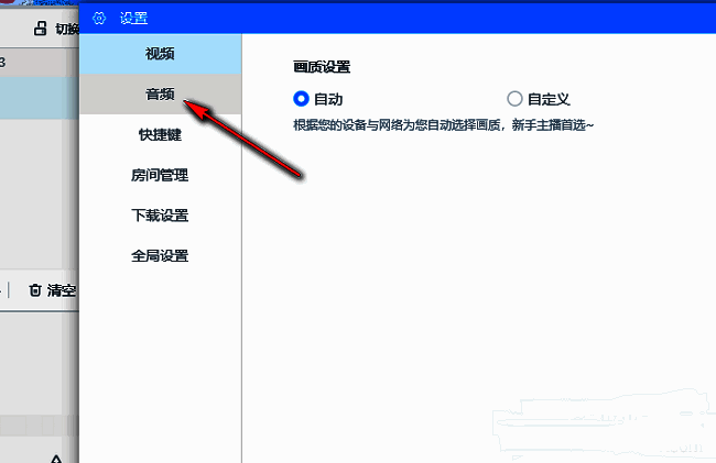 音频设置界面截图，左侧导航栏显示音频选项已高亮