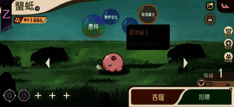 辅助型灵兽词条信息，附带技能加成说明