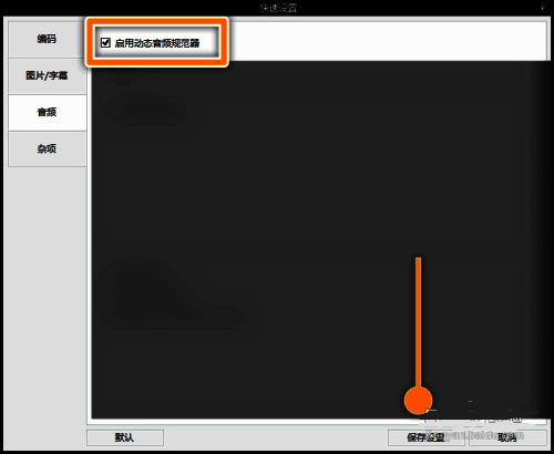 启用动态音频规范器选项被勾选的界面截图