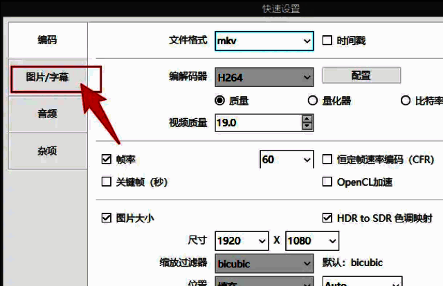 设置窗口左侧功能栏展示，已选中‘图片/字幕’选项