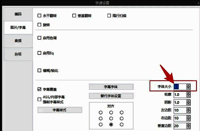 右侧设置区域展示，‘字幕大小’选项清晰可见，配有上下调节箭头