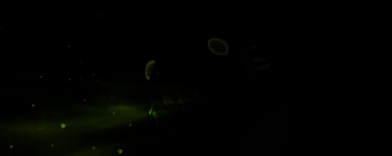 空洞骑士丝之歌中伟大的格洛战斗画面，BOSS挥舞武器，场景充满腐烂气息