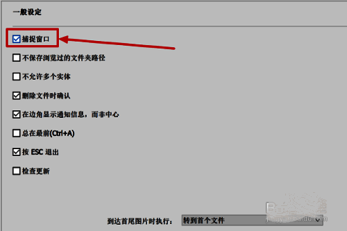 设置界面右侧捕捉窗口选项被勾选状态展示