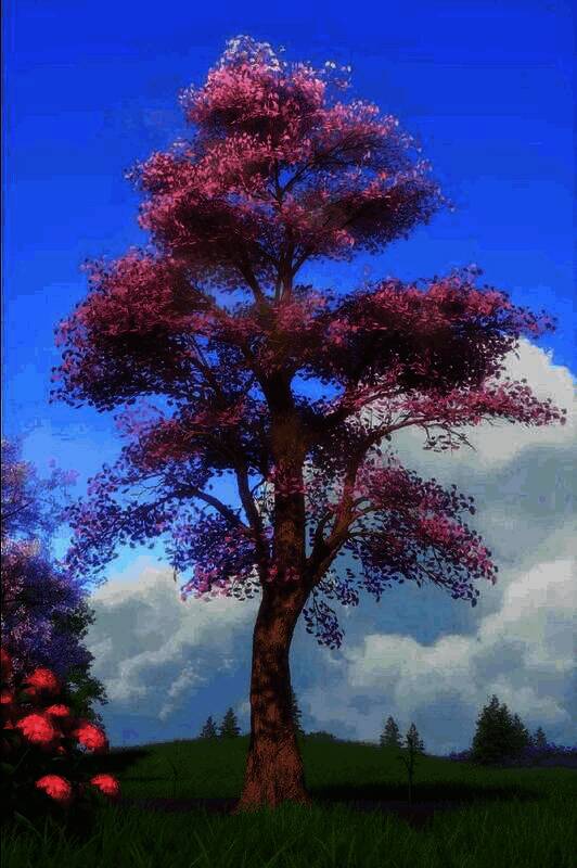 界面显示当前收购额度进度条，旁边列出多种可售出的植物材料