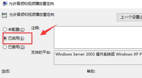 音频重定向策略设置为已启用后的确认界面