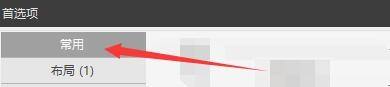 首选项窗口左侧常用选项被选中的截图，界面整洁明了