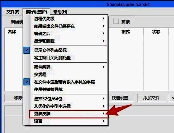 偏好设置窗口中已选中‘更改皮肤’选项，下方显示皮肤预览区域为空白等待加载状态