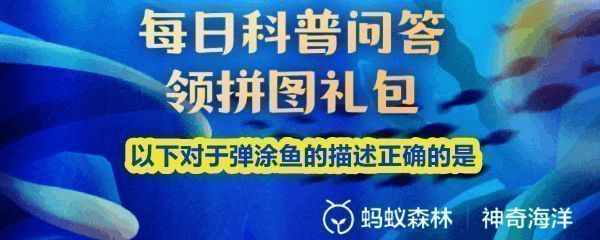 神奇海洋9月16日题目界面展示，问题为关于弹涂鱼的正确描述，选项包含滑翔高手和打洞高手