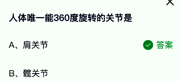 肩关节解剖示意图，清晰标注肱骨头、关节盂及周围肌肉结构，展示其球窝关节特征