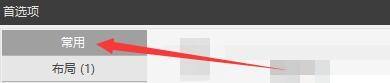 首选项窗口左侧栏高亮显示‘常用’选项