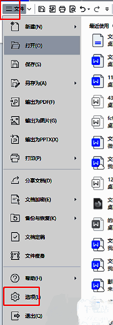 WPS文件菜单与选项入口界面展示，界面清晰标注了‘文件’和‘选项’按钮位置