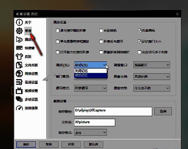 设置窗口左侧栏选中播放选项，右侧展示相关播放设置内容