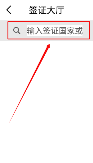 加急服务说明页面，列出不同国家的加急处理时效与费用标准