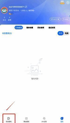 小鸟壁纸主界面截图，显示清晰的功能分区与导航栏