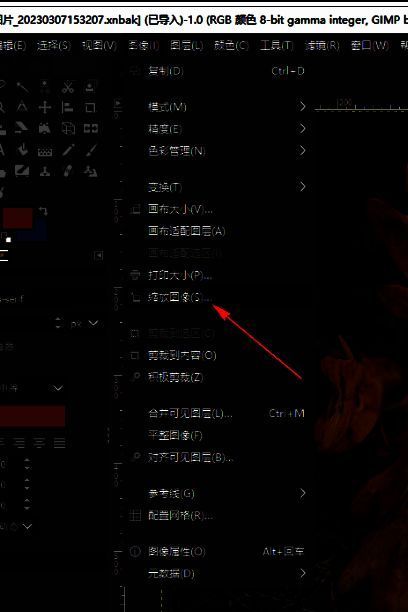 GIMP缩放图像设置窗口界面，参数输入框清晰可见，包含宽度、高度及插值算法选项