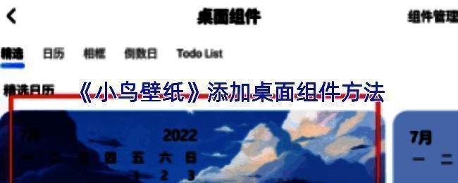 小鸟壁纸主页界面展示多种桌面组件预览样式，包括时钟与相册模块