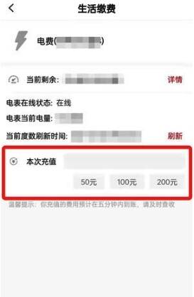 电费充值确认页面，显示可选金额及支付方式