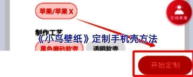 用户在手机上使用小鸟壁纸APP浏览壁纸并进入定制页面的操作界面