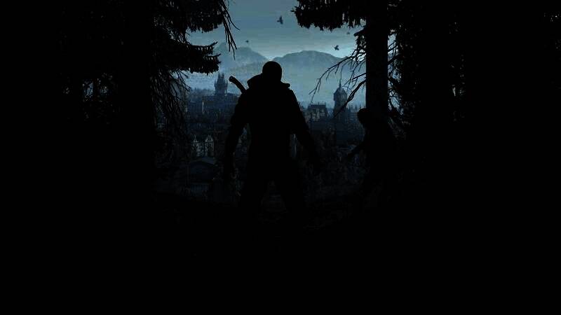 《消逝的光芒：困兽》官方宣传图，主角凯尔·克兰站在昏暗森林中，身后是燃烧的废墟与远处徘徊的丧尸群