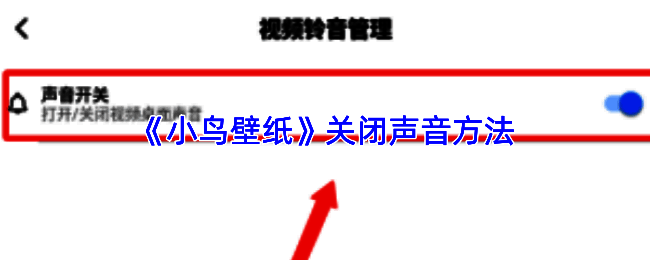 小鸟壁纸设置界面截图，展示声音选项所在位置，界面清晰标注有音效开关按钮