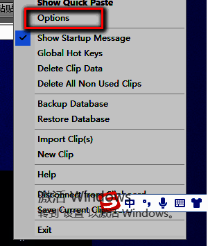 Ditto软件右下角任务栏图标右键菜单，显示Options选项