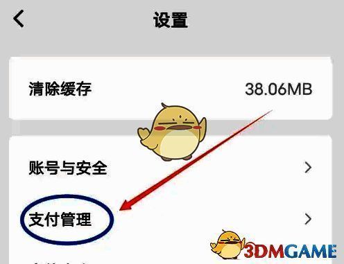 支付管理页面截图，显示包含我的银行卡、支付方式等财务相关选项