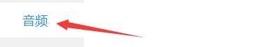 设置窗口左侧菜单高亮显示‘音频’标签，右侧为空白音频参数区