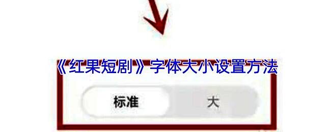 红果短剧播放界面展示，屏幕上显示控制栏与设置图标位置