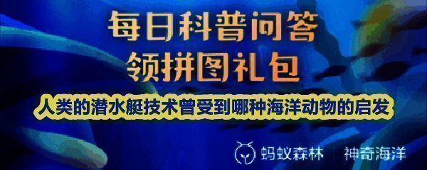 鹦鹉螺外壳内部结构示意图，展示其多腔室与虹吸管连接方式
