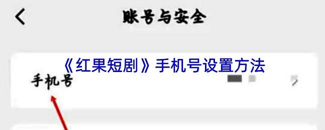 红果短剧APP主界面展示，底部导航栏高亮显示‘我的’选项