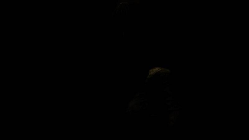 双胞胎姐妹手牵手穿过浓雾弥漫的神社庭院，背景隐约可见扭曲人影晃动